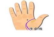 教你如何看生命線(xiàn)長(zhǎng)短