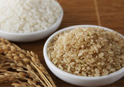 吃米飯容易長(zhǎng)胖嗎 白米大小麥燕麥營(yíng)養(yǎng)比較