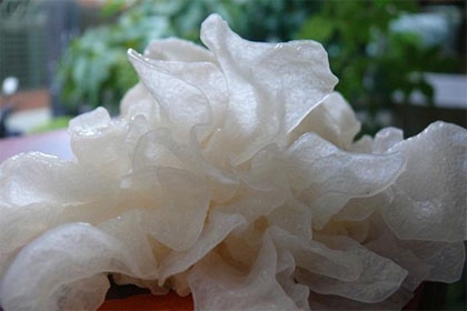 ?蚵仔湯抗痘、泡菜拌飯助睡眠 10款排毒抗發(fā)炎菜單