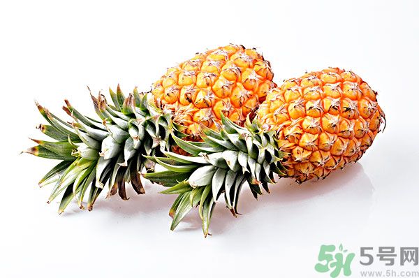 芒果和菠蘿能一起吃嗎？芒果和菠蘿一起吃好嗎？