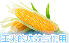 玉米煮多久會(huì)熟 玉米煮的好吃還是蒸的