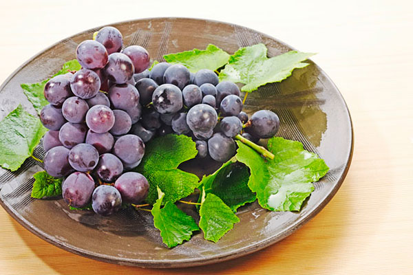 膽結(jié)石能吃葡萄嗎？膽結(jié)石患者吃葡萄好不好？