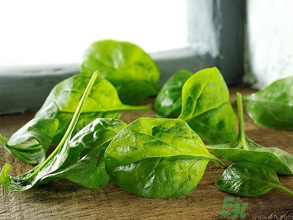 缺鐵有什么癥狀和危害？含鐵高的食物有哪些？