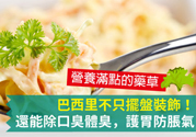 吃芹菜可以去口臭嗎？口臭可以吃芹菜嗎？