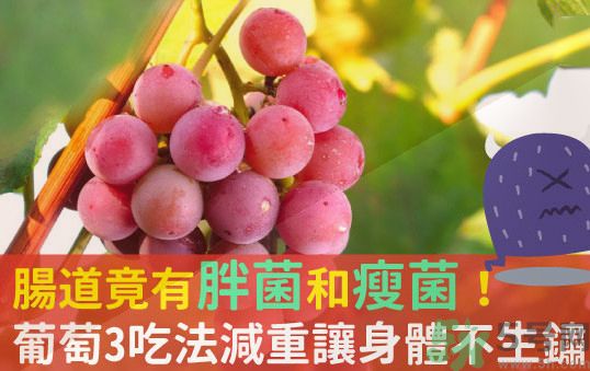 吃葡萄可以不吐葡萄籽嗎？吃葡萄皮好不好？