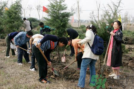 植樹節(jié)是幾月幾日？植樹節(jié)可以做些什么活動(dòng)？