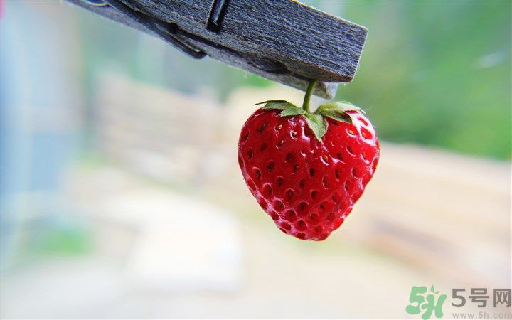 如何辨別草莓有沒(méi)有打膨大劑？如何清洗草莓才干凈？
