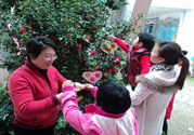 植樹節(jié)是幾月幾日？植樹節(jié)可以做些什么活動？
