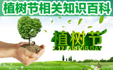 植樹節(jié)可以種什么花？植樹節(jié)種什么花好？