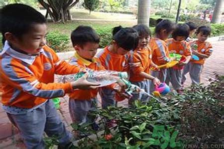 如何提高植樹的成活率？植樹節(jié)種樹要注意哪些細(xì)節(jié)？