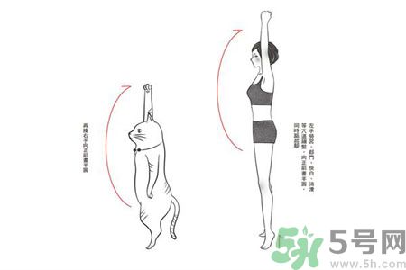 電腦族肩膀痛疼怎么辦？肩膀痛疼怎么解決？