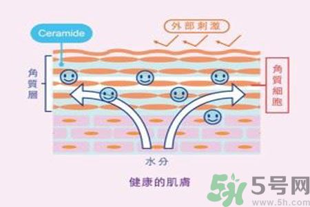 皮膚炎癢是怎么回事？皮膚炎發(fā)作怎么治療？