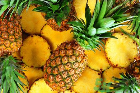 菠蘿和鳳梨有什么區(qū)別？菠蘿和鳳梨誰更好吃？