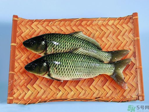孕婦吃什么魚對胎兒好？孕婦吃什么魚最好？