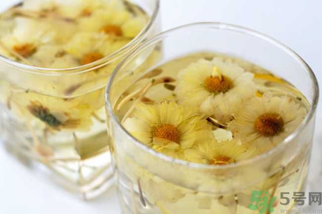 春天喝菊花茶好嗎？女性春天喝什么茶最好？