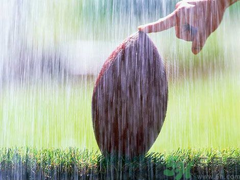 濕氣重的癥狀？怎么去除體內(nèi)的濕氣？