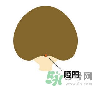臉總是腫腫的怎么辦？臉有點(diǎn)浮腫怎么消腫？