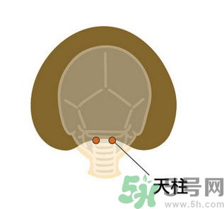 臉總是腫腫的怎么辦？臉有點(diǎn)浮腫怎么消腫？
