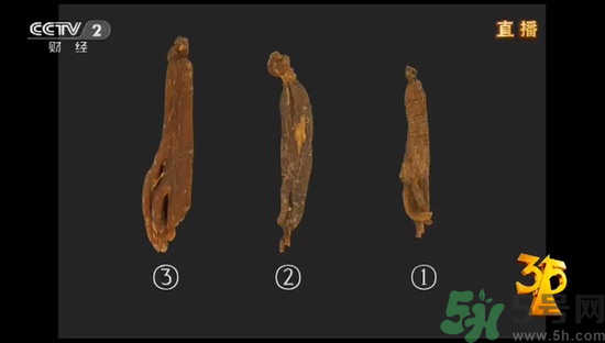 紅參怎么挑選？紅參摻糖怎么辯解？
