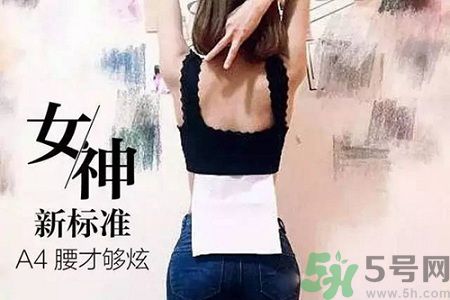 B5腰圍比A4腰圍更好？B5腰是什么意思？