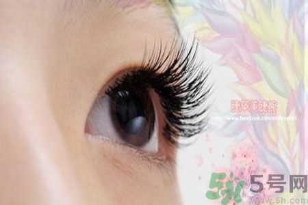 種睫毛的危害有哪些？種睫毛能保持多久？