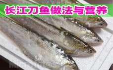 秋刀魚(yú)是刀魚(yú)嗎？秋刀魚(yú)和刀魚(yú)的區(qū)別