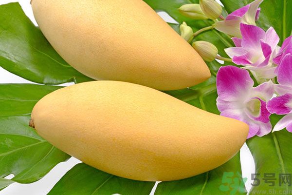 吃芒果嘴唇過敏怎么辦？為什么吃了芒果后嘴巴癢？