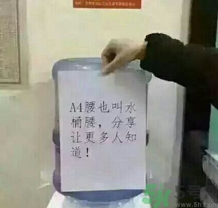 a4腰也叫水桶腰是什么意思？a4腰也叫水桶腰圖片？ 