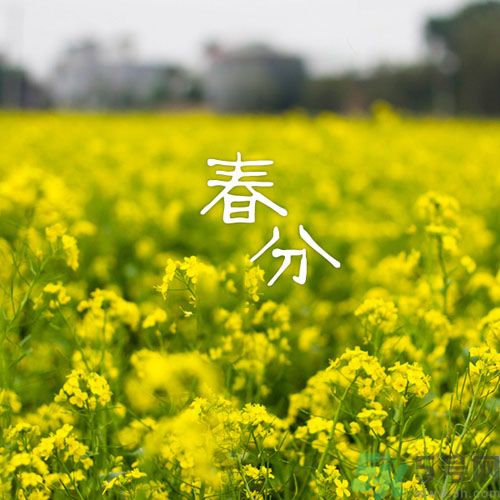 春分時(shí)養(yǎng)生要注意什么？春分要預(yù)防哪些疾??？