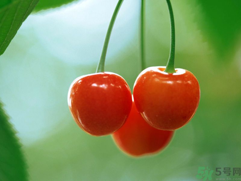 春分時節(jié)養(yǎng)生吃什么水果好？那些水果可以春天吃？