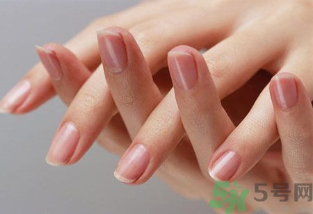 從月牙看健康 如何從月牙看出你的體質(zhì)？