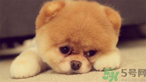 睡覺能戴手表嗎？睡覺不能帶的東西有哪些？