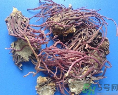 紫菀的功效和作用是什么？紫菀的用法用量是多少？