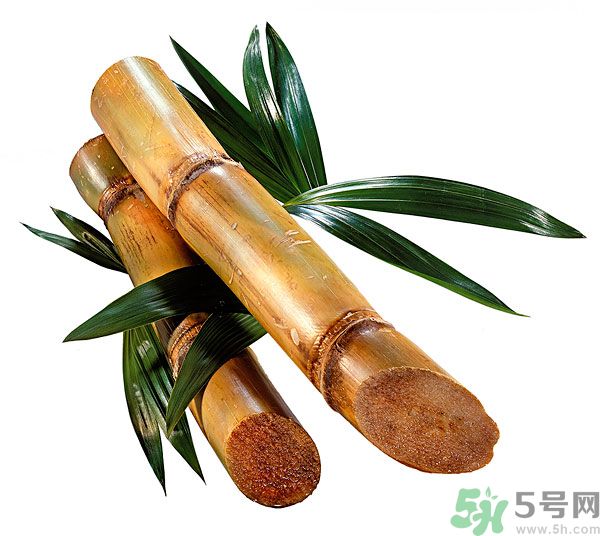 清明節(jié)能吃甘蔗嗎？清明節(jié)吃甘蔗會(huì)中毒嗎？