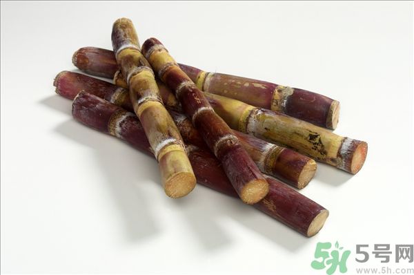 清明節(jié)能吃甘蔗嗎？清明節(jié)吃甘蔗會(huì)中毒嗎？