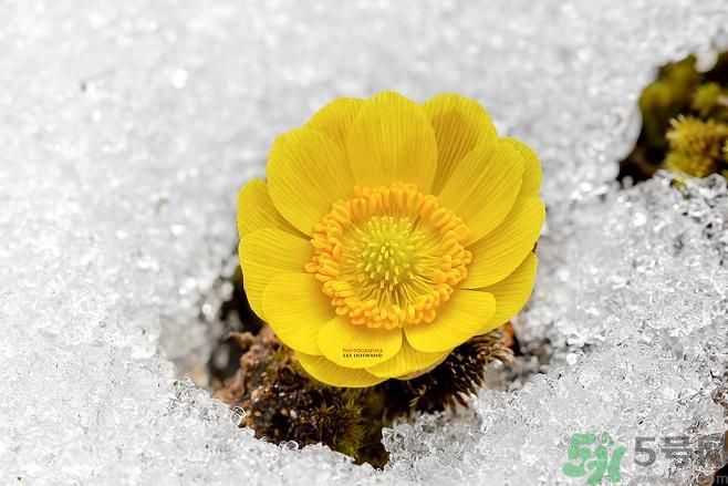 清明節(jié)有哪些習(xí)俗？清明節(jié)習(xí)俗的來源？