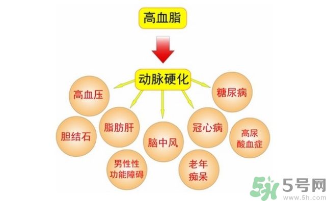 吃什么可以降血脂？高血脂吃什么好？