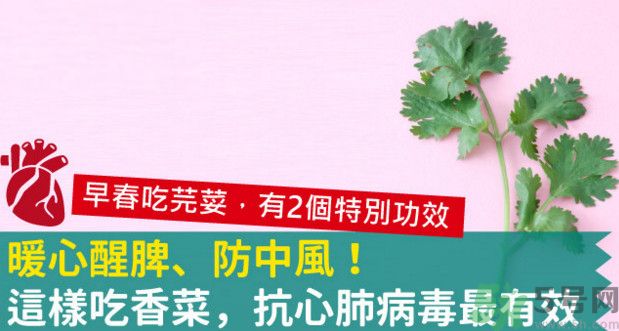 春天吃香菜好嗎？春天吃香菜有什么好處？