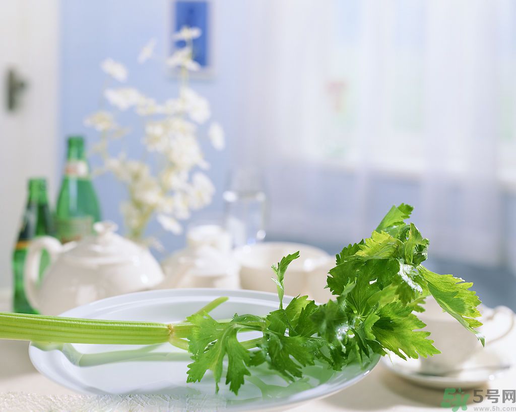 芹菜可以減肥嗎？芹菜有什么功效？