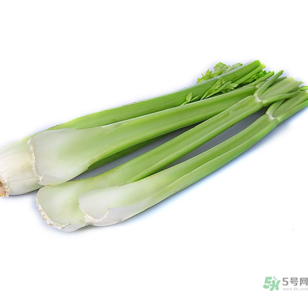芹菜可以減肥嗎？芹菜有什么功效？