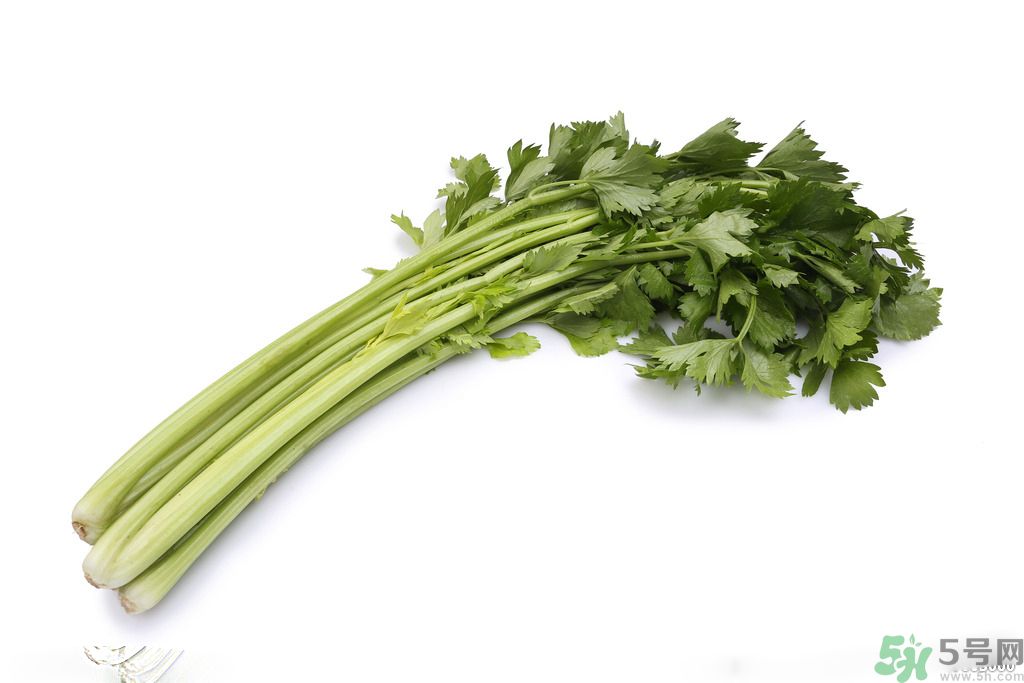 芹菜可以減肥嗎？芹菜有什么功效？