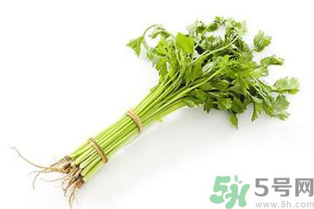 芹菜可以減肥嗎？芹菜有什么功效？