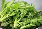 薺菜為什么要焯水？薺菜要用開水燙嗎？