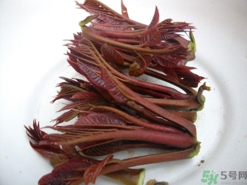 香椿好吃嗎？香椿可以做菜嗎？