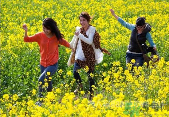 清明節(jié)的習(xí)俗有哪些？清明節(jié)吃什么？