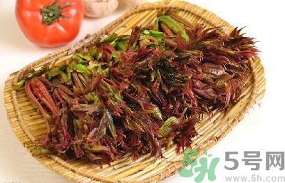 吃香椿有什么好處？香椿可以預(yù)防疾病嗎？