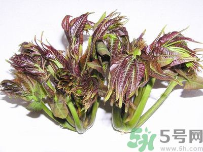 吃香椿有什么好處？香椿可以預(yù)防疾病嗎？