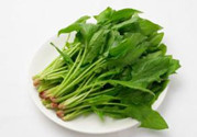 韭菜和菠菜能一起吃嗎?一起吃有什么營養(yǎng)價(jià)值