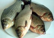 怎么挑選魚(yú)？挑魚(yú)的技巧有哪些？