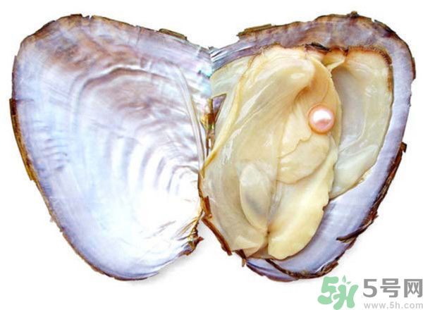 河蚌什么時(shí)候吃最好？吃河蚌有什么好處？